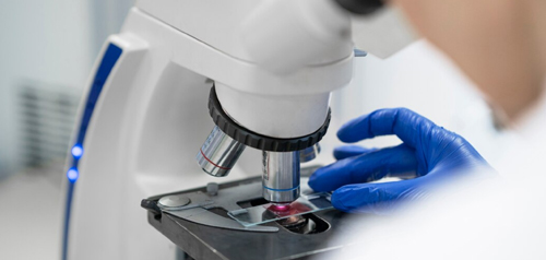 serv-pathology